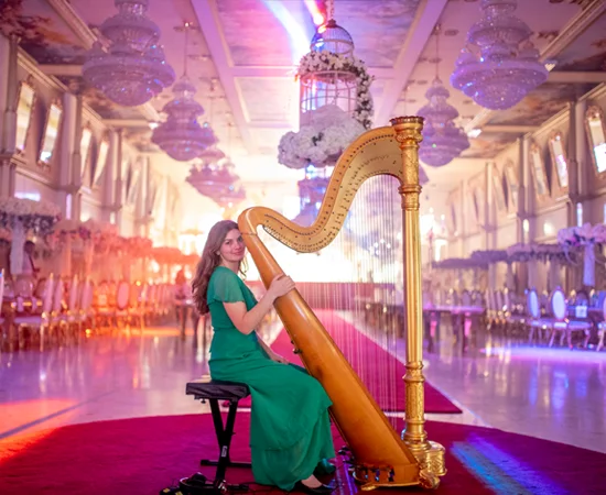 Versailles Palace Harp